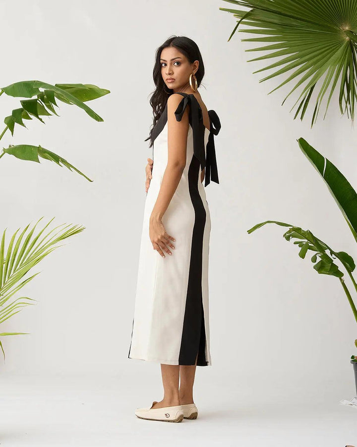 Feathered Harmony Colour block Dress - Risate