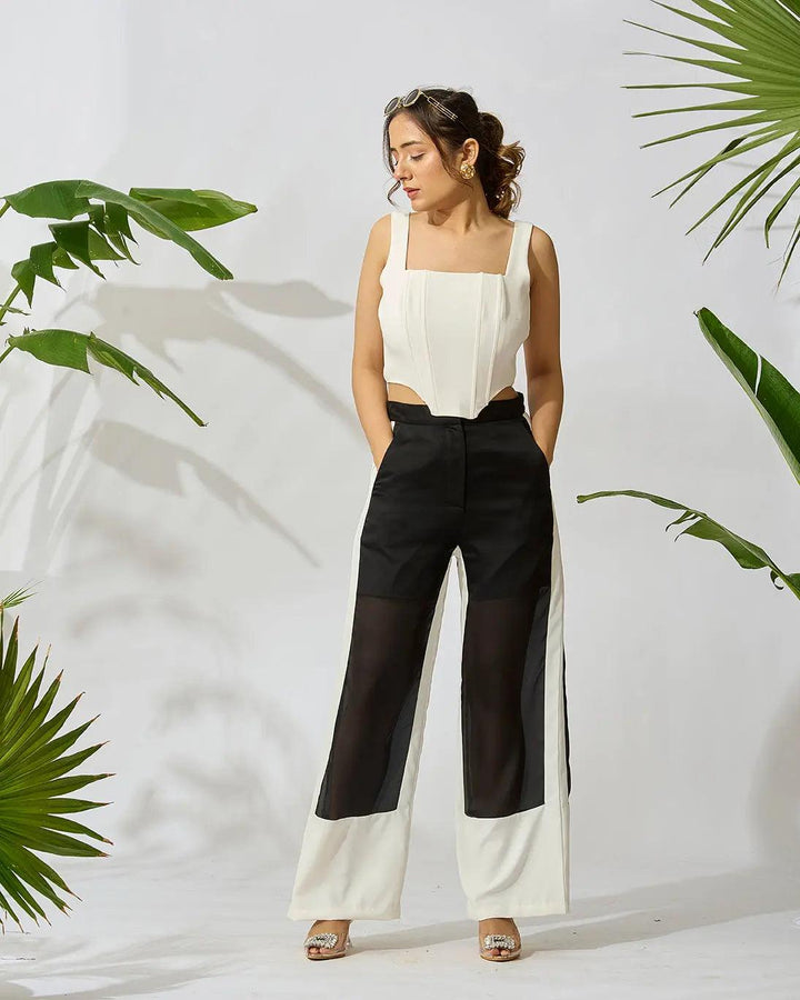 Sheer Elegance Straight Leg Pants - Risate